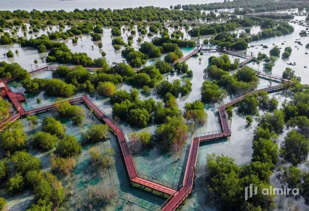 Huge Plot | Perfect for Investment | Prime Area